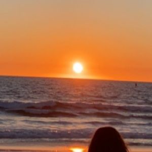 Meet your Posher, Sadie